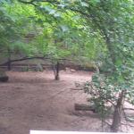 DCP_6681.JPG