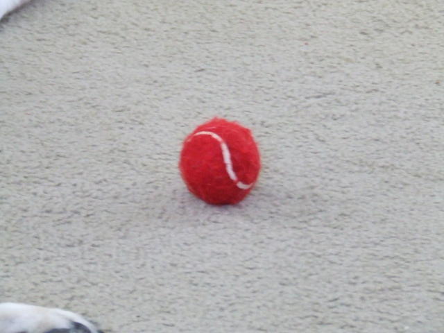 DSCF0055.JPG