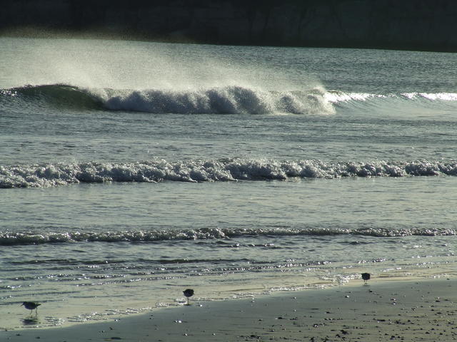 DSCF0144.JPG