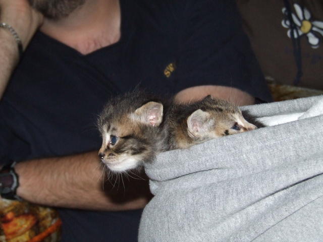 DSCF0410.JPG