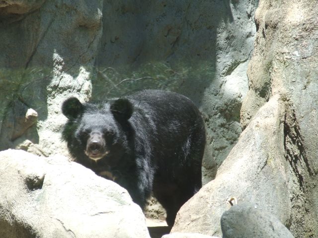 DSCF4657