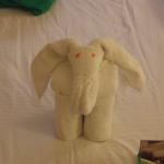 DSCF8470.JPG