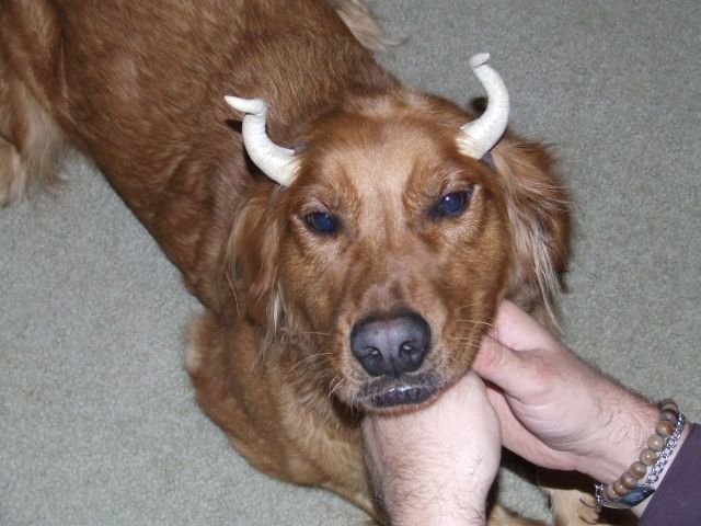DSCF9153.JPG