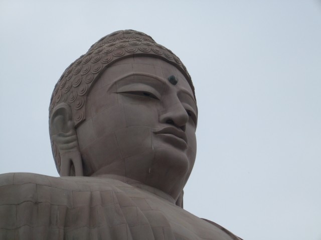 DSCF3447