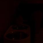 DCP_0350.JPG
